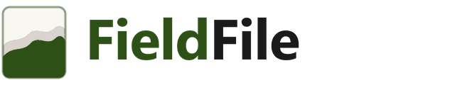 FieldFile